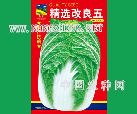 精选改良五